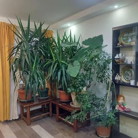 Apartment Mandarina Lux Belgrade