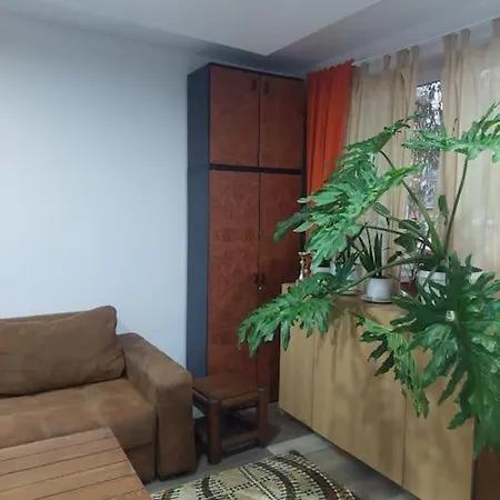 Mandarina Lux * Belgrade